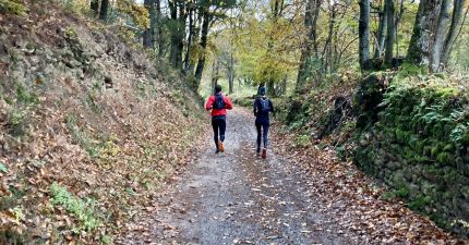Running-Trail novembre 2021